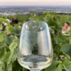 Degustacja: wina z Włoch